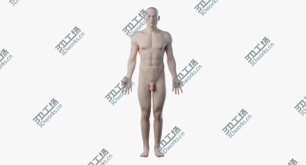 images/goods_img/20210312/Male Skin, Skeleton And Organs 3D model/4.jpg